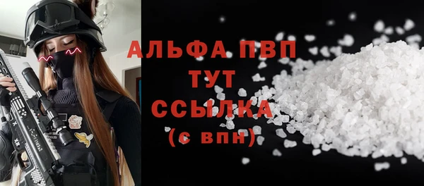 spice Бородино