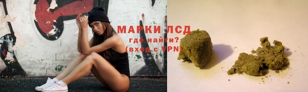 spice Бородино