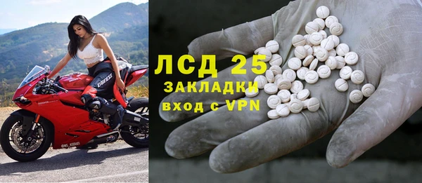 spice Бородино