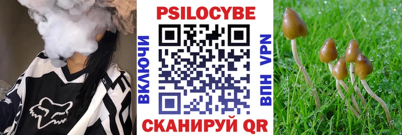 продажа наркотиков  Карачев  Галлюциногенные грибы ЛСД 